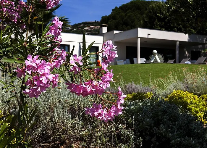 Californie B&B 4*